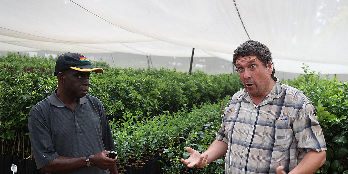 Chegutu, where black and white farmers are working together for the future of citrus