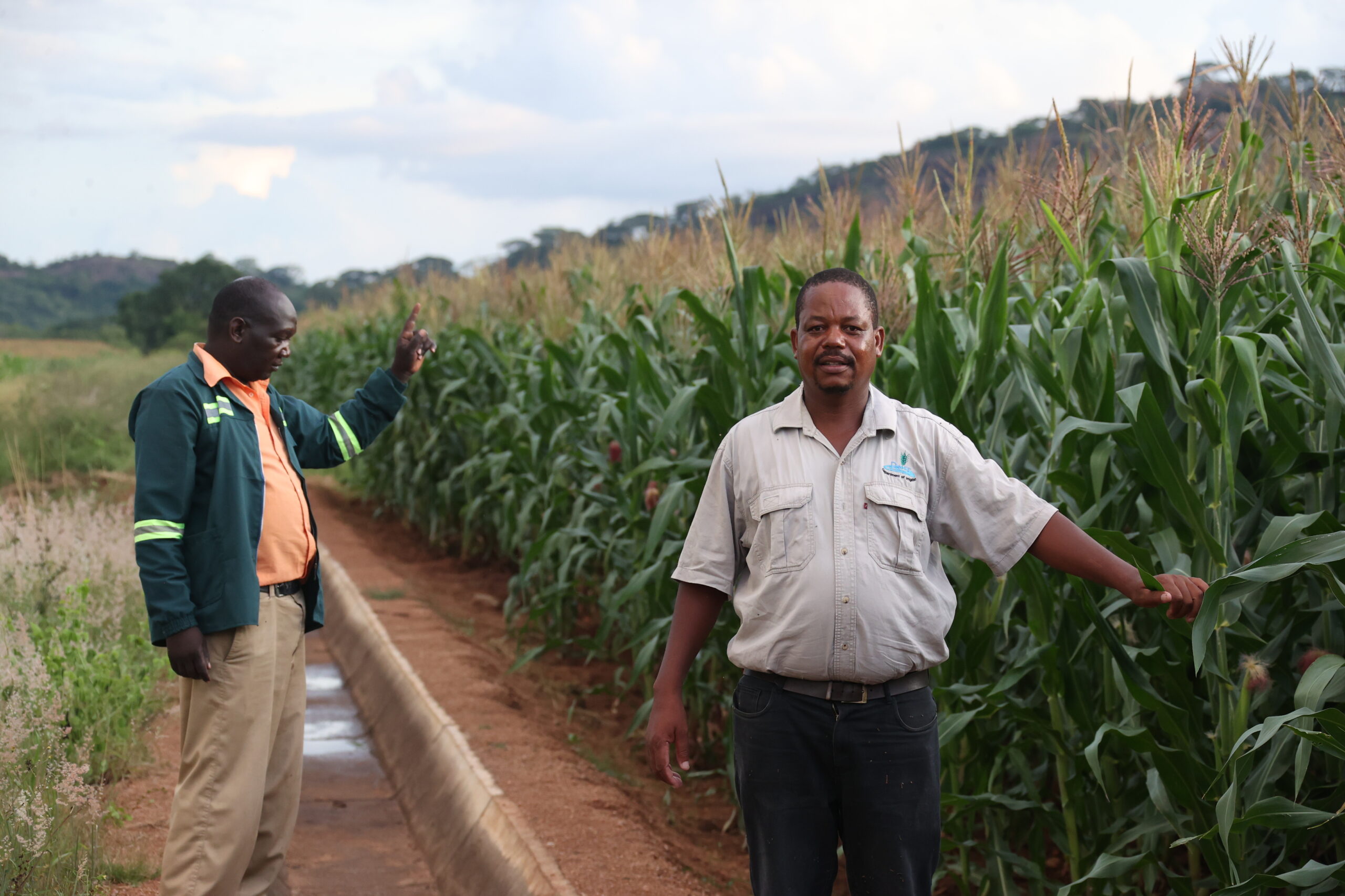 Biri Extension Irrigation Scheme: A model for food self-sufficiency